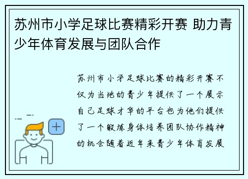 苏州市小学足球比赛精彩开赛 助力青少年体育发展与团队合作