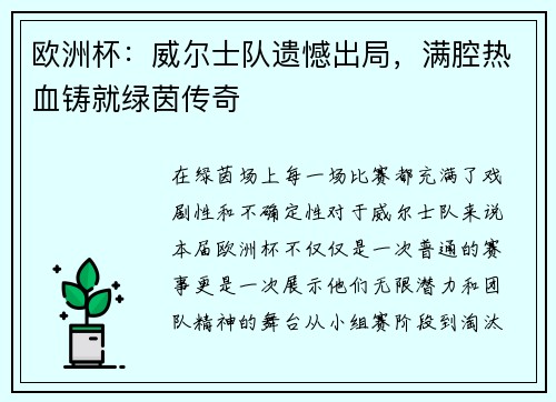 欧洲杯:威尔士队遗憾出局,满腔热血铸就绿茵传奇