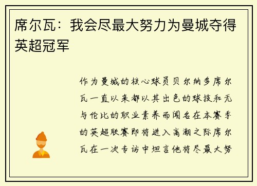 席尔瓦：我会尽最大努力为曼城夺得英超冠军