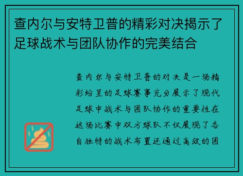 查内尔与安特卫普的精彩对决揭示了足球战术与团队协作的完美结合