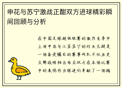 申花与苏宁激战正酣双方进球精彩瞬间回顾与分析