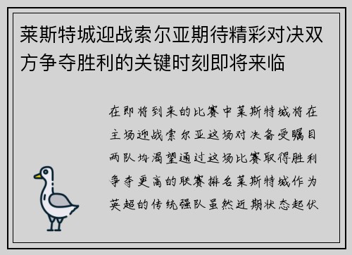 莱斯特城迎战索尔亚期待精彩对决双方争夺胜利的关键时刻即将来临
